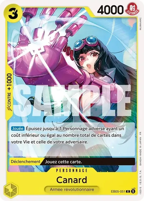 Canard EB05-051