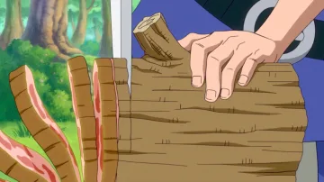 Fruit du Démon Kuku Kuku no Mi (One Piece)